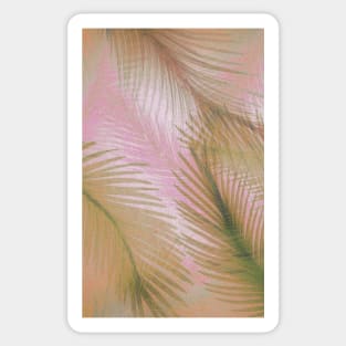 PRETTY PINK FEATHER PALM LEAF DECO POSTER EXOTIC BEACH ART PRINT Sticker